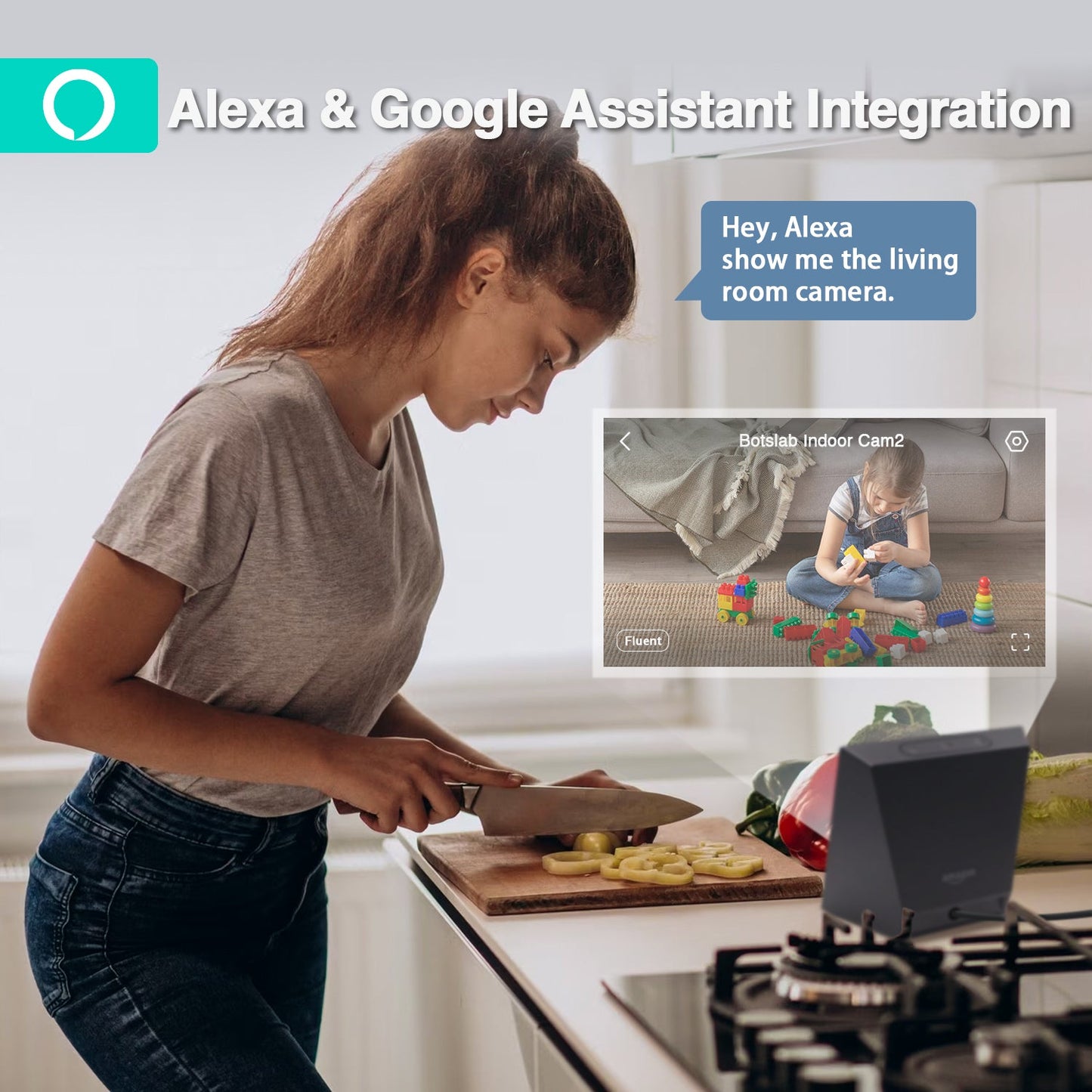 Botslab Indoor Cam2 C211